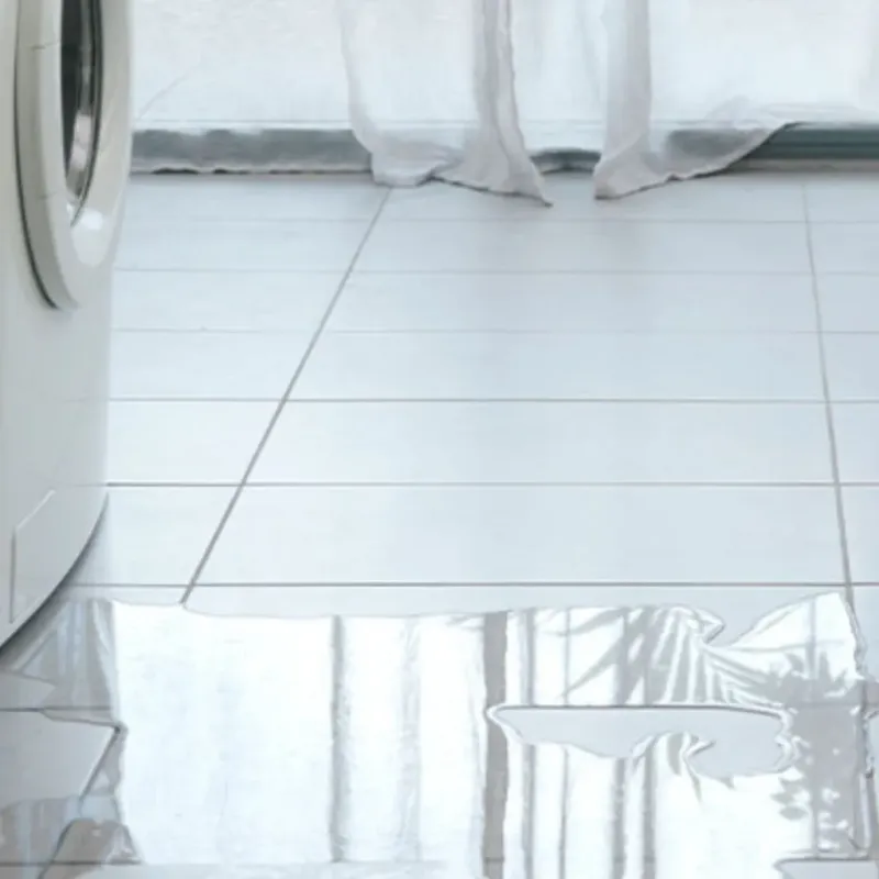 Appliance Leak Cleanup in Providence, KY