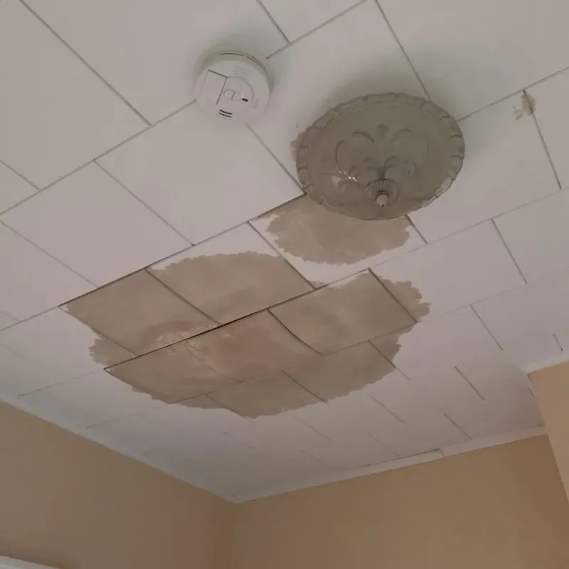 Ceiling Water Damage Repair in Providence, KY