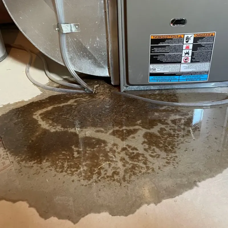 Pipe Burst and Leak Restoration in Providence, KY