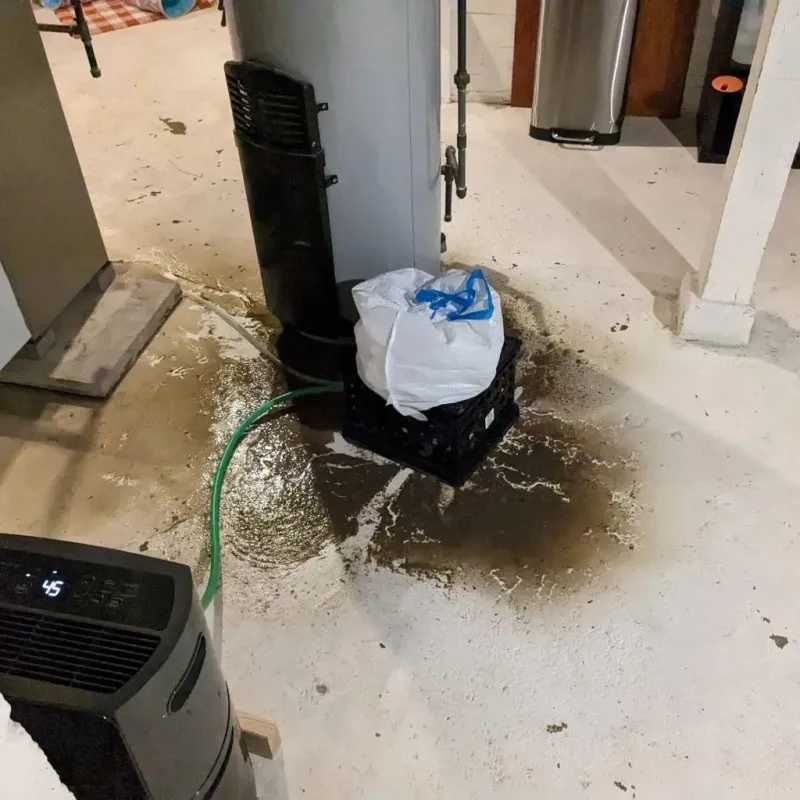 Sewage Backup Cleanup Service in Providence, KY